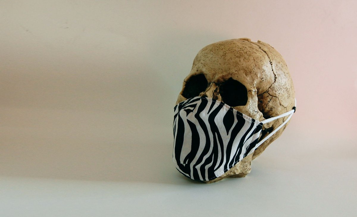 Zebra Print Face Mask - Adult Small

etsy.me/3pUH5IY 

#white #black #zebra #fittedmask #facemask #facecovering #washablemask #reusable #zebramask #animalprint #madebyjody666