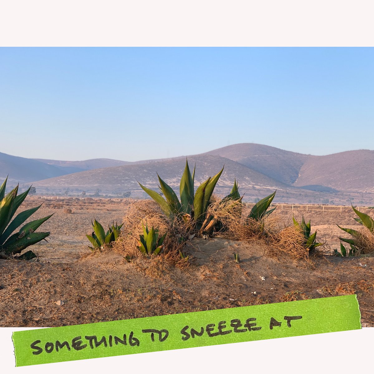 Lou Bank tweet media