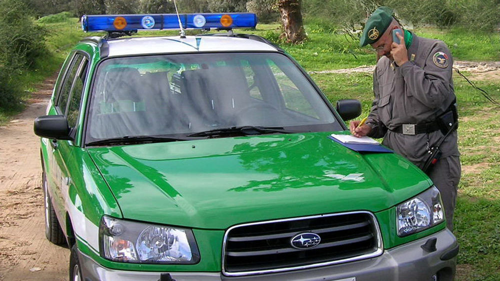 La Notizia Pontina tweet media