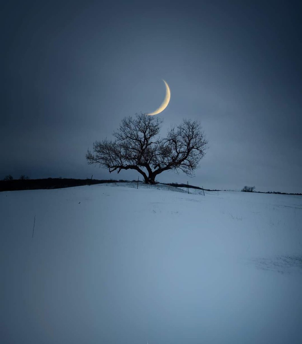 MarcEddy17's tweet photo. #LoneTrees #trees #moon #snow #nightsky #photography 

🌀😷🌳Lone Tree No.181 [Courtesy @Love_onlyyU]🌳😷🌀 https://t.co/dh3YJyOBSW