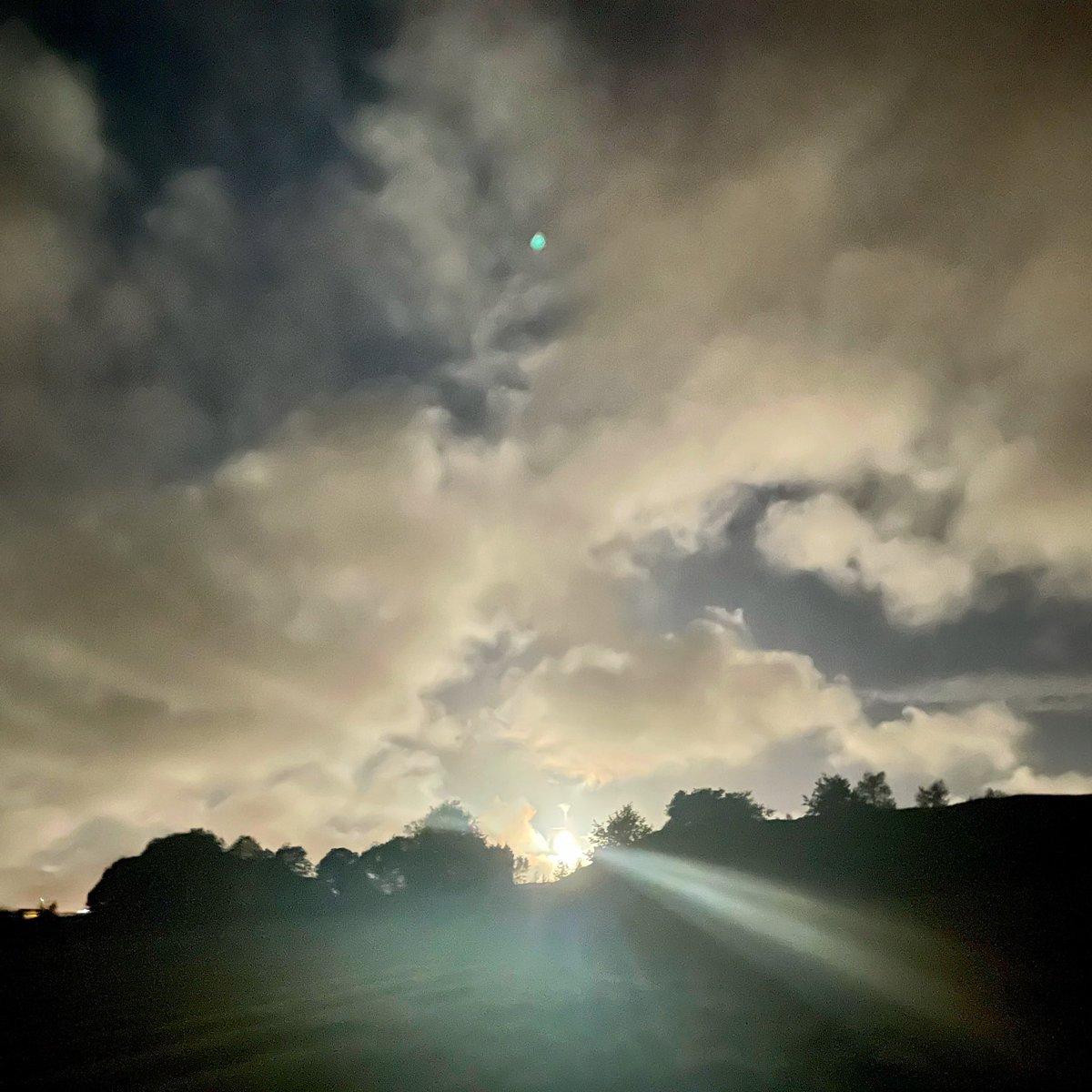 Stephanie Holt🦊 tweet media