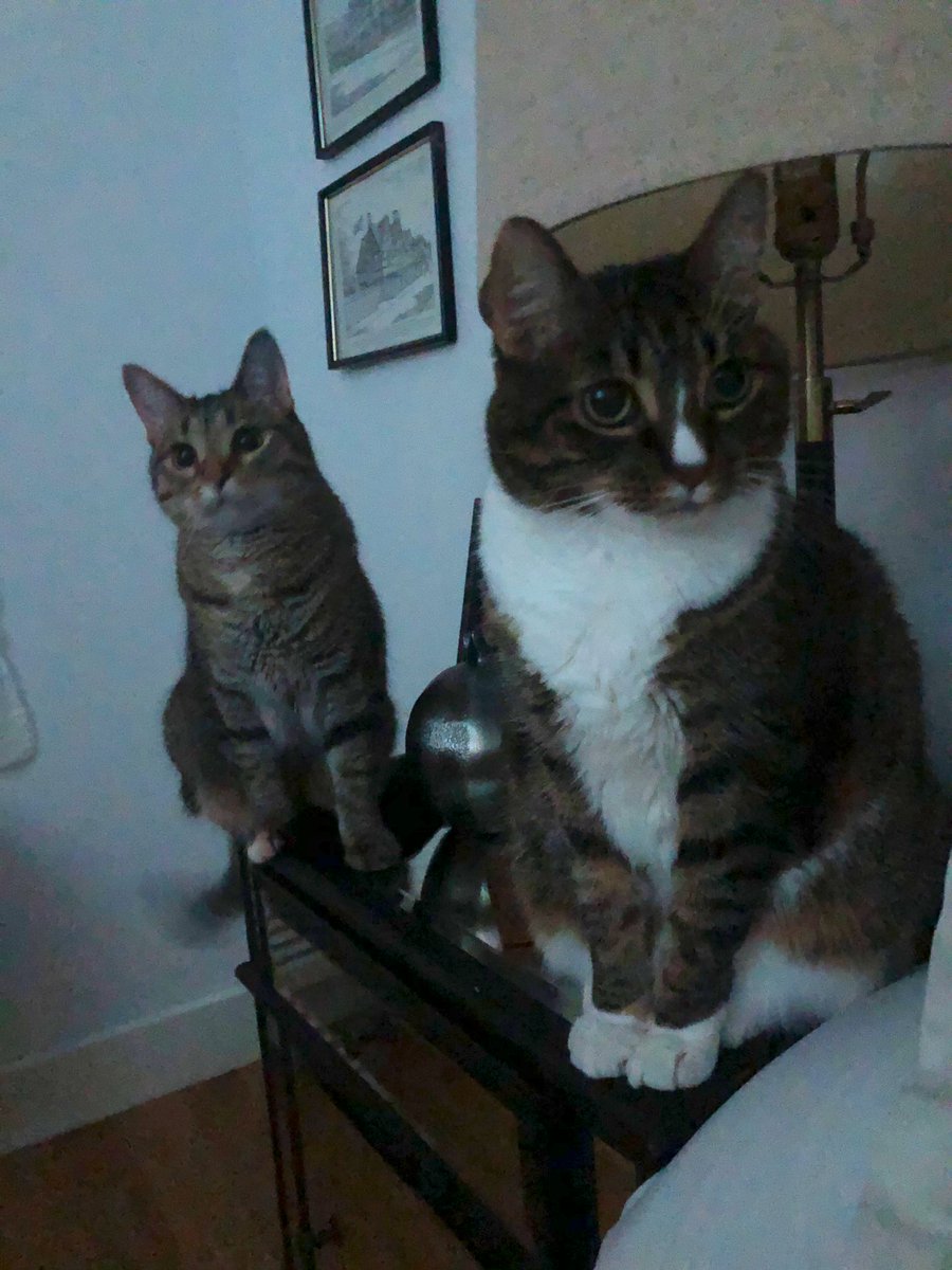 NYU Radiology Residency tweet media