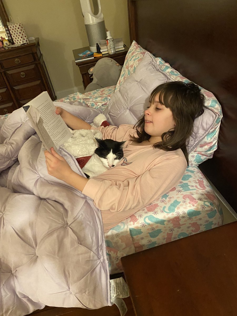 kilojoule_'s tweet photo. #readingtocats https://t.co/kzgyKPivxL