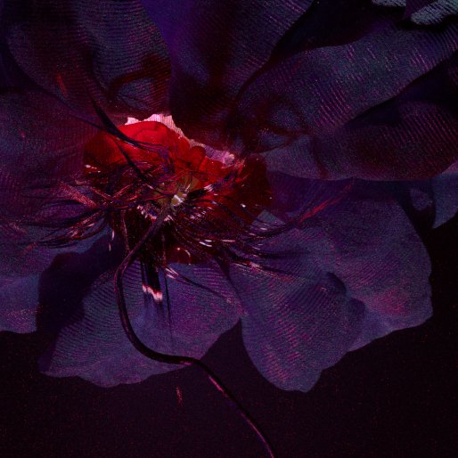 egmontas's tweet image. Close-ups of a new blossom in various stages and shades - more details are emerging as the procedure evolves. Trying to balance: how it&apos;s constructed vs how it behaves vs how it appears. #digiblossoms #proceduraldesign