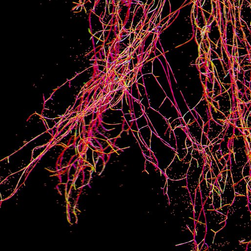 egmontas's tweet image. Close-ups of a new blossom in various stages and shades - more details are emerging as the procedure evolves. Trying to balance: how it&apos;s constructed vs how it behaves vs how it appears. #digiblossoms #proceduraldesign
