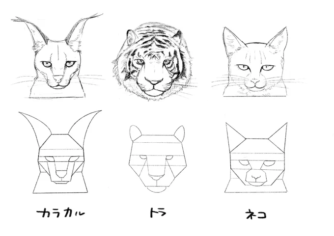 和ネコが1番難しい気がする 