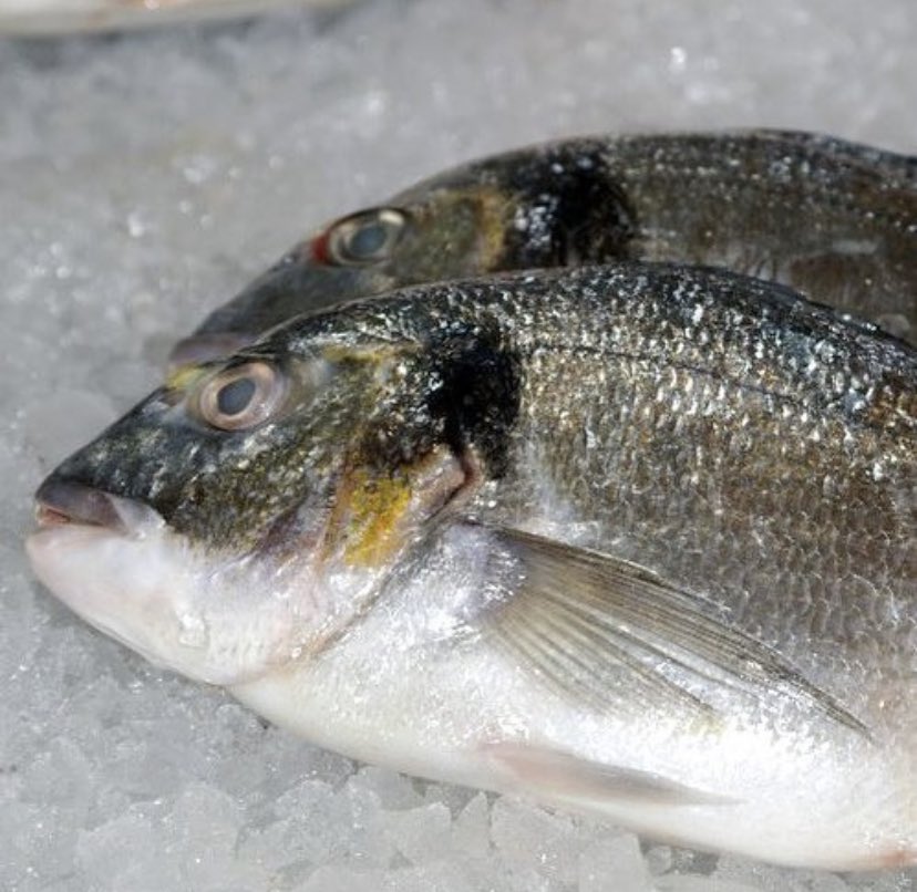 fish_plaice's tweet photo. 📣Fantastic special today📣

Sea Bream only £9.99 per kg👏🏼🤩

https://t.co/0K9BXU5HNb https://t.co/gT4fzdNzf0