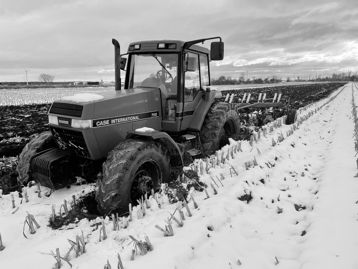 Dungannon_Dan's tweet photo. @ClarkAgri @OAgC22 #12daysofclarkmas
โBetween the tilesโ https://t.co/IY5T0wQNTI