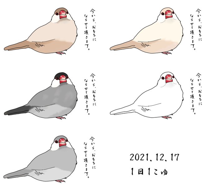 文鳥 高画質 のtwitterイラスト検索結果 古い順 文鳥 高画質 のtwitterイラスト検索結果 古い順