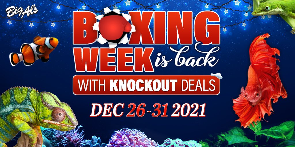 Boxing Week Starts Today! 
See Flyer for Some Knockout Savings! 🥊

Click Here!
bit.ly/327ifNU

#BoxingWeek #Sale #BigAls #BringUsHome