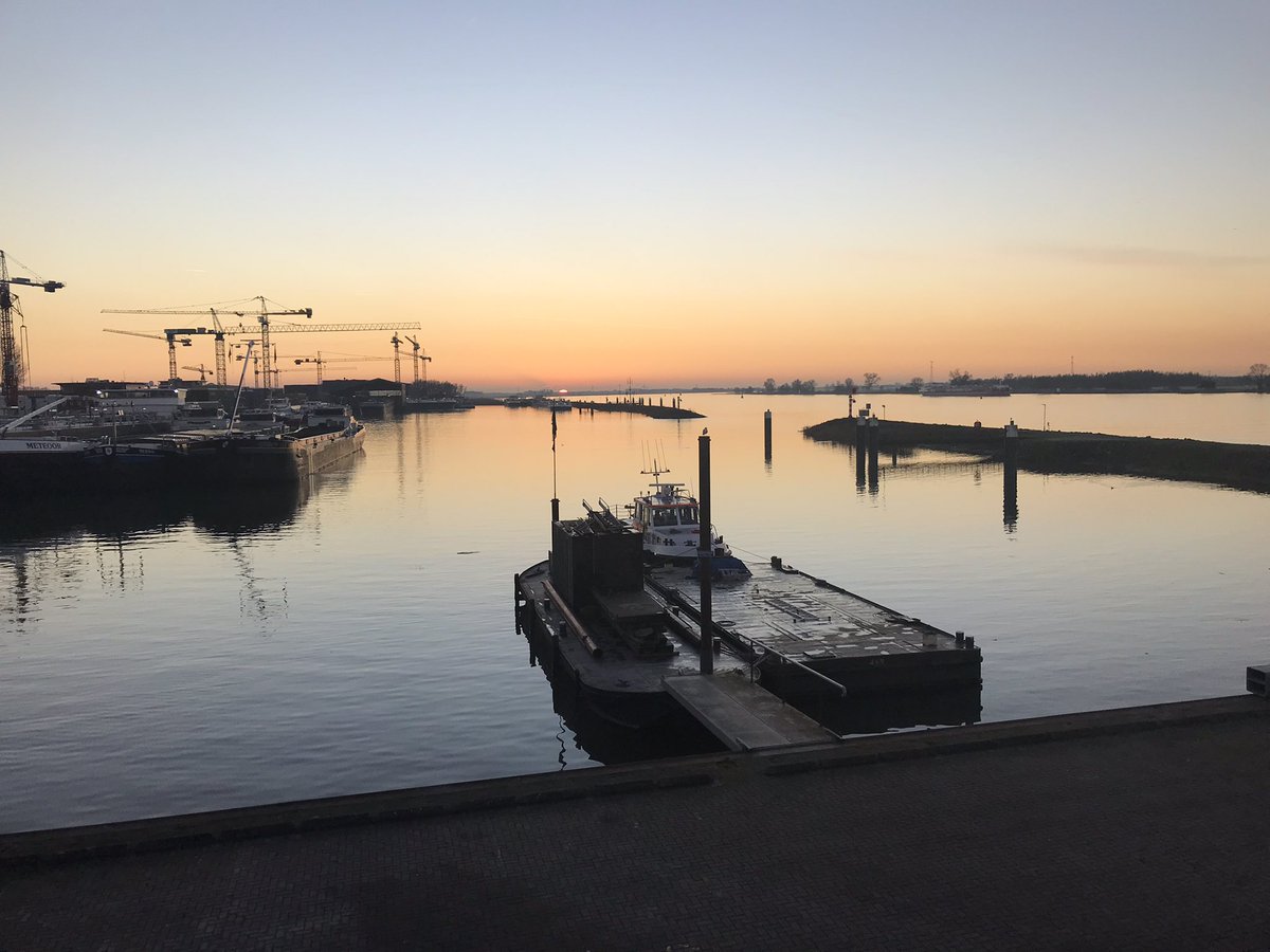 lou goedel tweet media