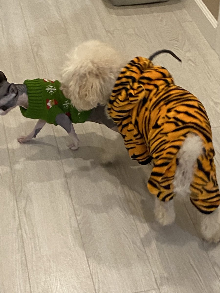 oveliine's tweet photo. я не шутила https://t.co/yopEjPpIri