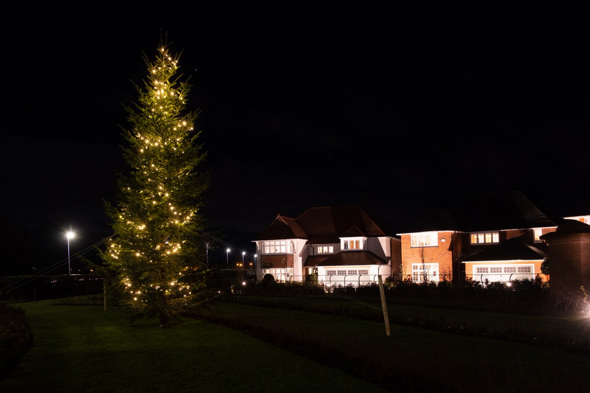 Our teams have been hard at work this festive season, installing Christmas trees at different locations across the country. 
Check out this beautiful tree that is shining bright at the entrance to the <a href="/Redrow/">Redrow</a> Wrexham Road development
#landscapeprofessionals