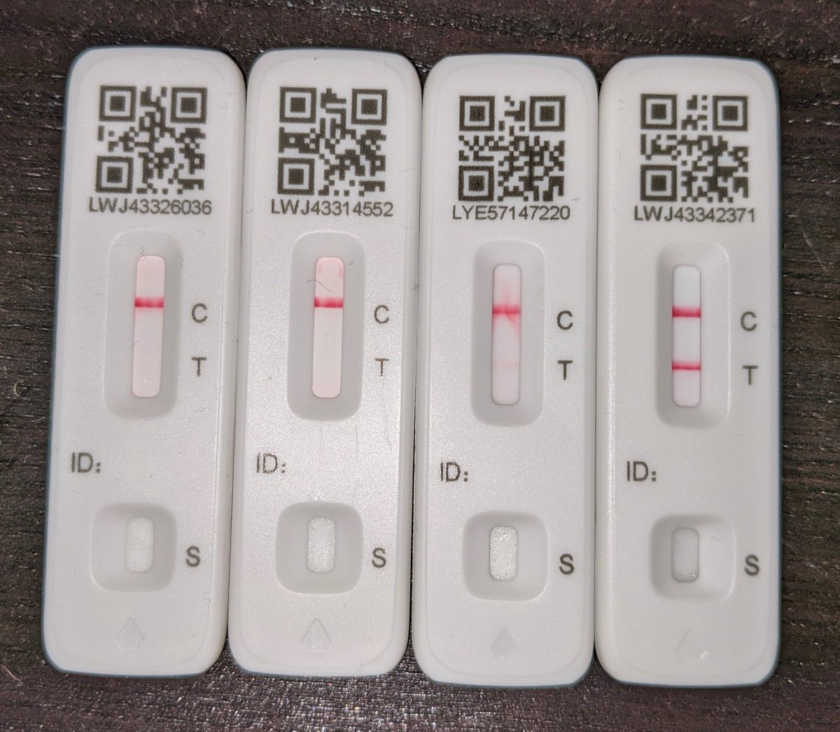 Pablo Fuente tweet media