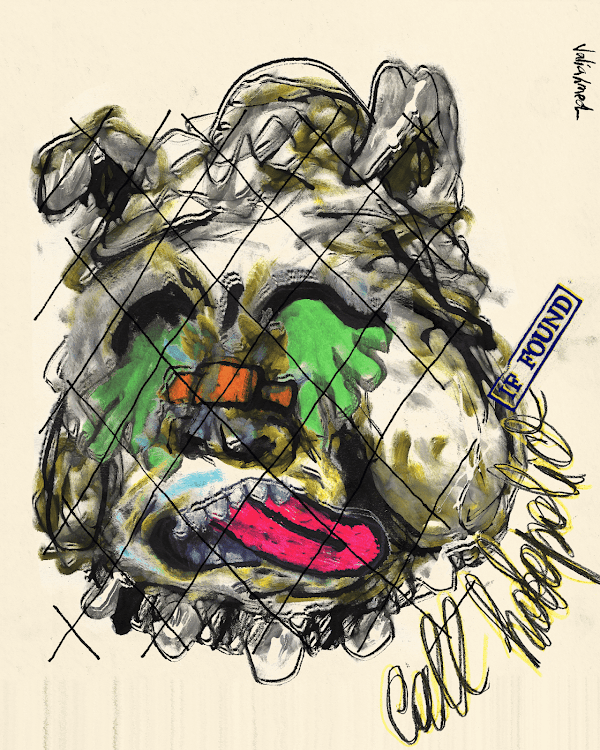 VikkiBardot's tweet photo. Meet Rudy Russell the smart Doggy 💫

My hobopet from @CryptoHobos 
Artistically one of the best projects around ✌️

#CryptoHobos #hobopets #HOBOFOMO #nftcollection #nfts #nftcommunity https://t.co/M0zRPAYDbM