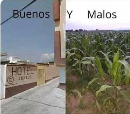 soypulpito's tweet photo. Quédate con la que entienda qué hay días: https://t.co/QaWSdi2TSy