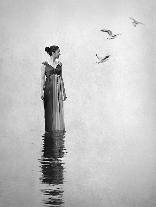 literland tweet media