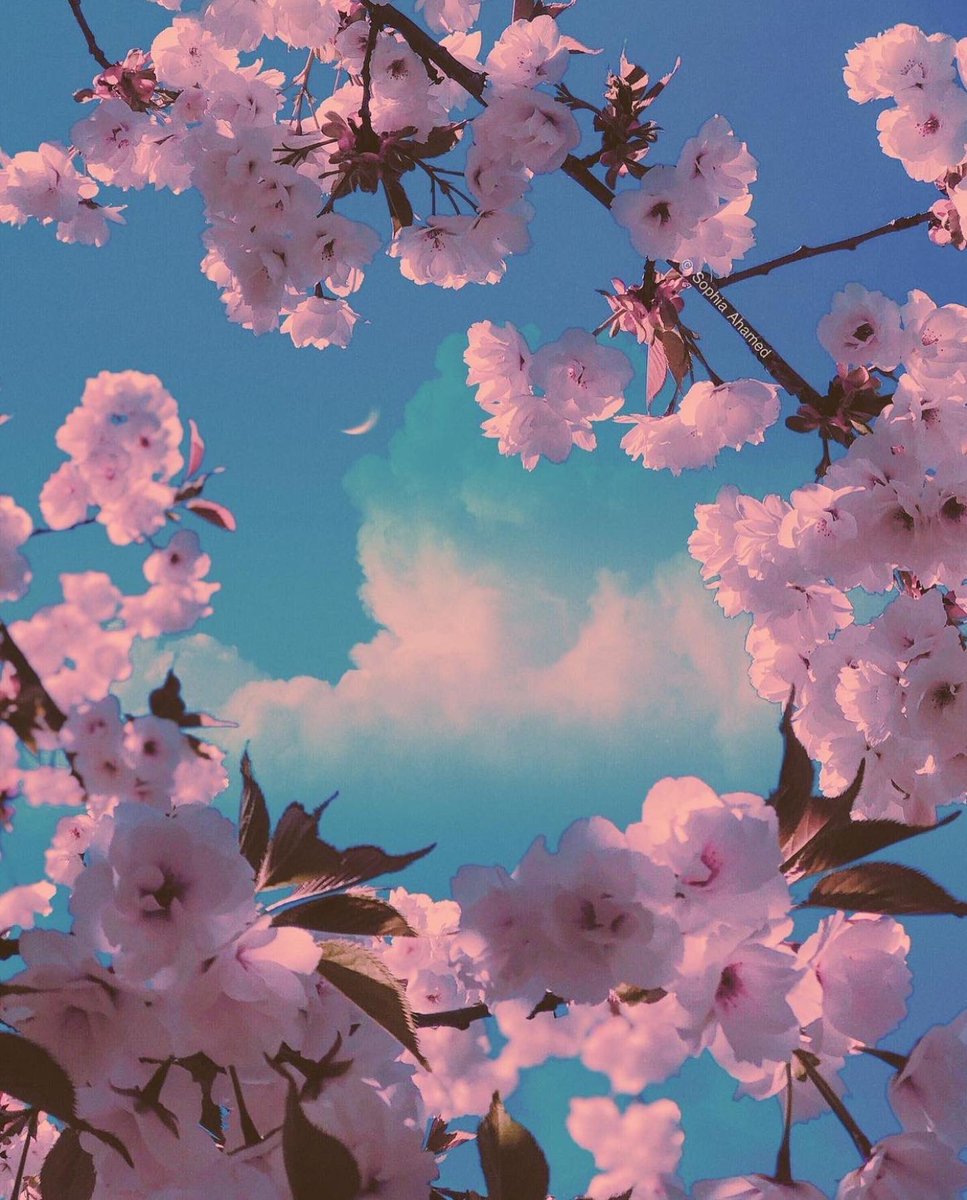 Do things from love, not for love. 

#Growth #Spirituality #Enlightenment