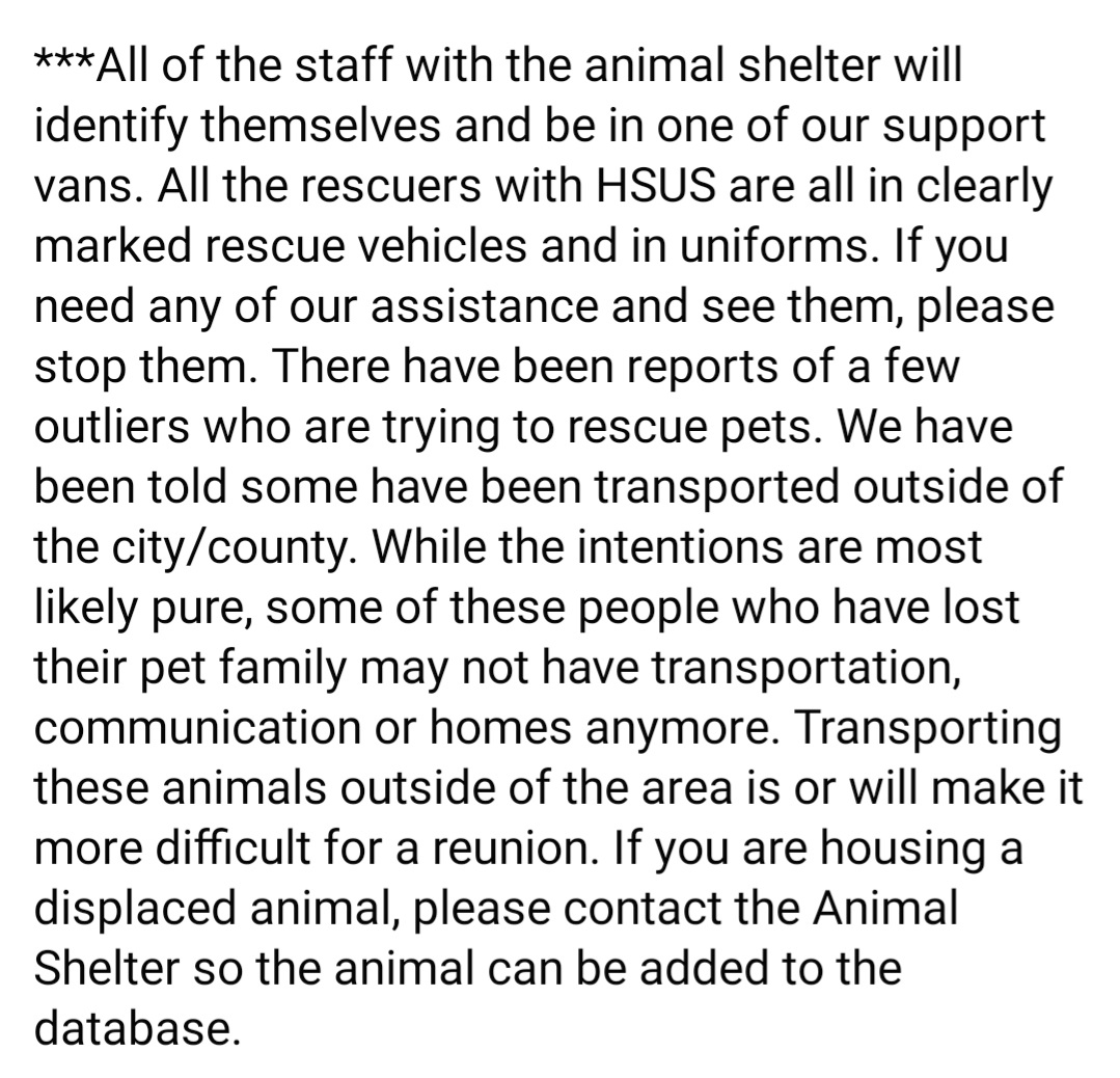RealMiBaWi's tweet photo. #Mayfield, #Kentucky - Update
Search & Rescue, Sheltering
#AnimalRescue #AnimalWelfare
#Animals #Pets #Dogs #Cats
> https://t.co/j9so8BtR9f https://t.co/6JS2du8jHs