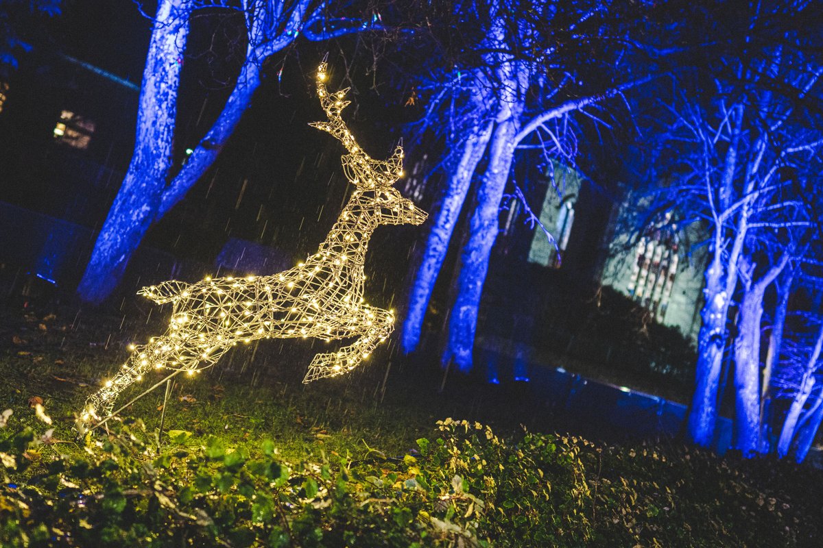 PerthXmas_WL's tweet photo. One more week to go... Don't let it pass you by! Join us this year and experience the magic of our dazzling family-friendly experience. ✨ 🎄 🦌 

https://t.co/Lg5F7tisDg

#PerthChristmasWonderland #PerthRiverside #christmasevent #perthshire #21CCGroup https://t.co/BF6odBavlI