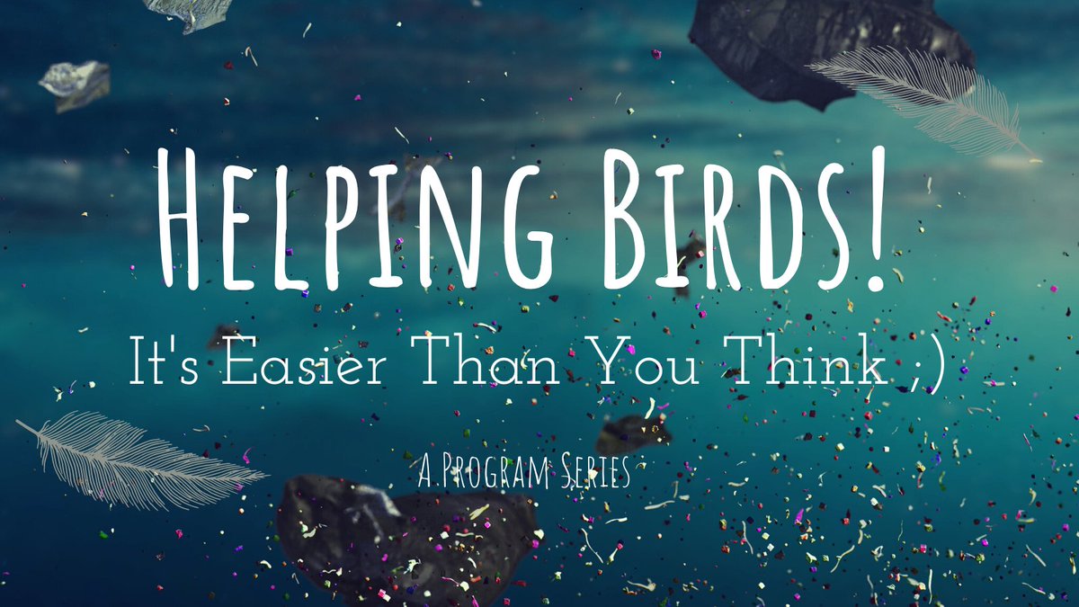 Look for some fun this weekend, but also want to do something productive and meaningful? Join us for a community trash pickup, birding, and snacks this Sat. at Anita B. Gorman Discovery Center! Find out more and sign-up at: mrbo.org/event/helping-…