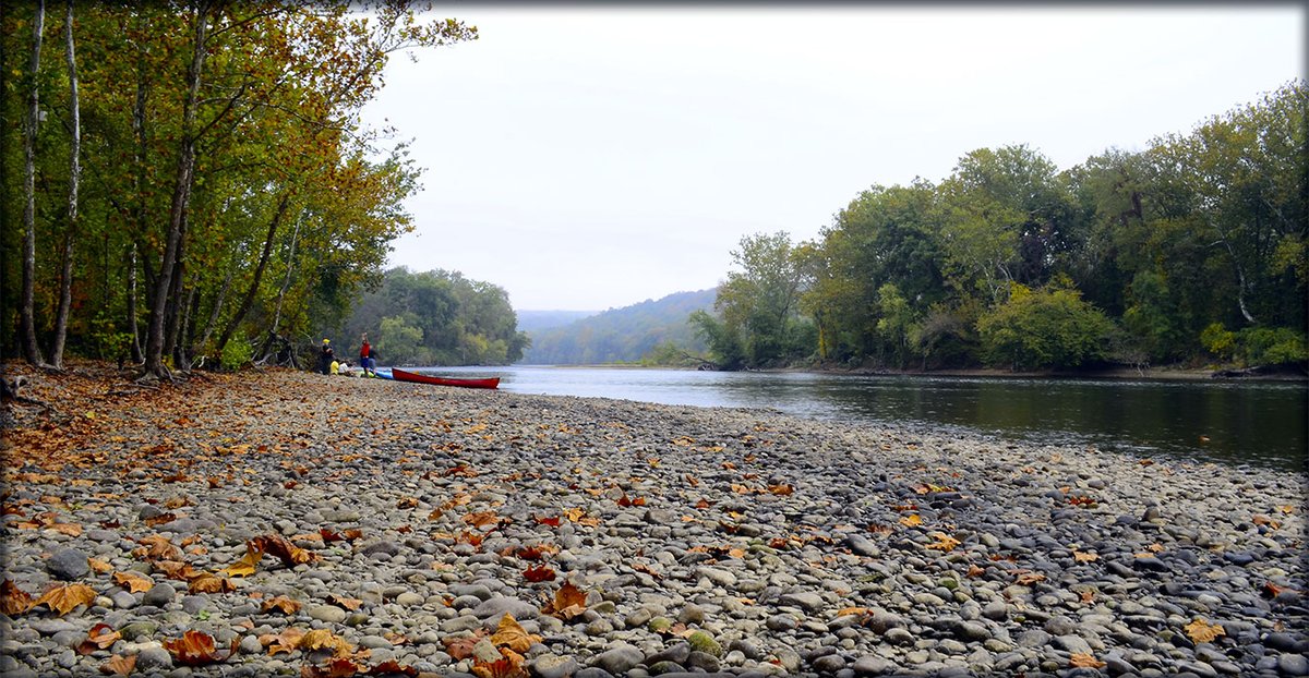 DelRivCoalition's tweet photo. The NJDEP plays the critical role of managing the state’s environment, protecting natural resources, and enforcing regulations and permits. But over the past decade, funding the NJDEP has significantly decreased in the state budget. This must change in 2022! #CleanWaterNJ https://t.co/Emzpli5W6f
