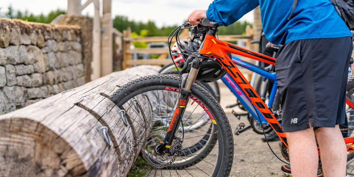 Visitors to the south of Scotland can now enjoy its nature and wildlife using low carbon travel with the new <a href="/ElectrekE/">Electrek Explorer: Recharge in Nature</a> web app 📱 Featuring curated electric car, cycle and walking routes, find out more 👉 go.visit.sc/fmY #RespectProtectEnjoy <a href="/nature_scot/">Former NatureScot account</a>