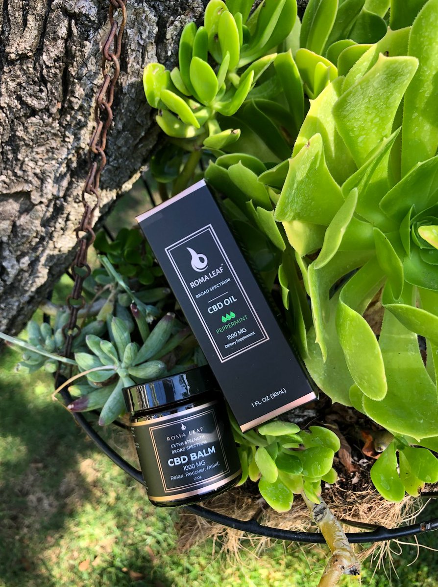 RomaLeaf's tweet photo. I spy the perfect duo 💚

⁠
#cbd #hempoil #hempheals #cbdoil #cbdheals #purecbd #organiccbd #healthandwellness #cbdcures https://t.co/9WksmJDQRo