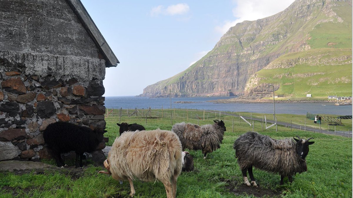 CommsEarth's tweet image. Humans may have settled the Faroe Islands and used the land for livestock grazing as early as 500 CE, around 300 years earlier than previously believed.

@DeltaDeuterium @DewetGreg @bonesandbugs @s2shirazi @raybradleyUMass @bakke_jostein @LamontEarth 

ow.ly/W99350HbvRY