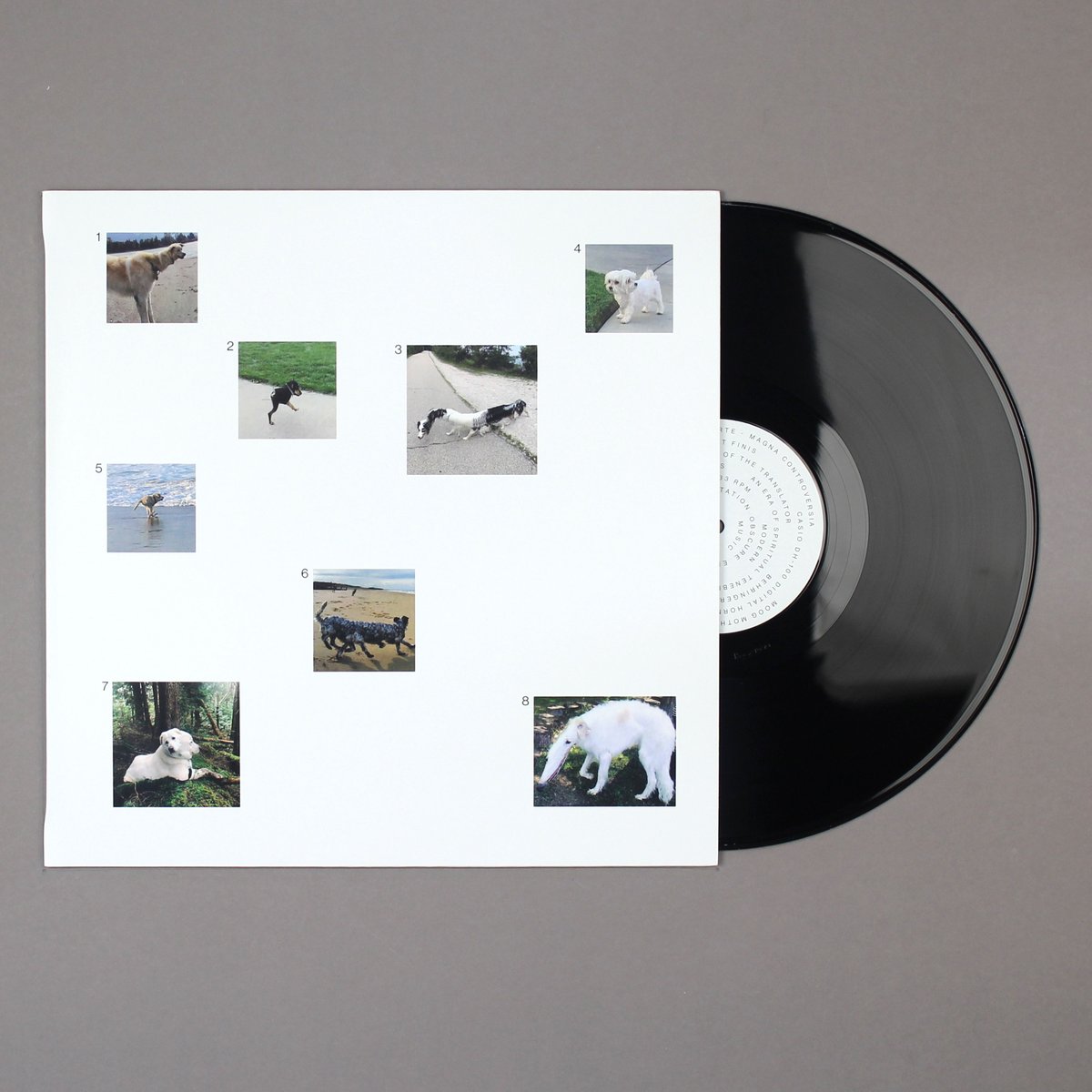 bleep's tweet photo. Shipping Now:
Our Souls Are In The Hands Of The Translator - An Era Of Spiritual Tenebrae
@ModernObscure 

https://t.co/5e44Z4xgwh

+ Bleep exclusive
+ Clear vinyl
+ Poster insert
+ Limited to 200 https://t.co/QZQmtl5pLK