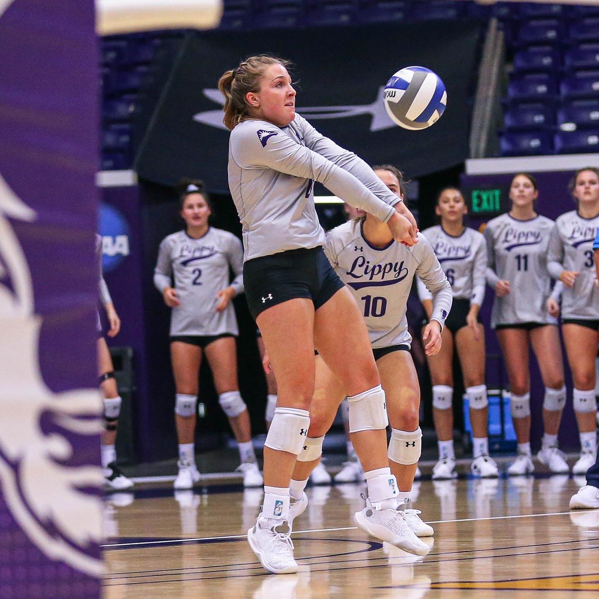 LipscombVBall's tweet photo. Wishing a big Happy Birthday to our girl @LibbySteinhart‼️ 🥳 🎉 https://t.co/al5doNCzzk