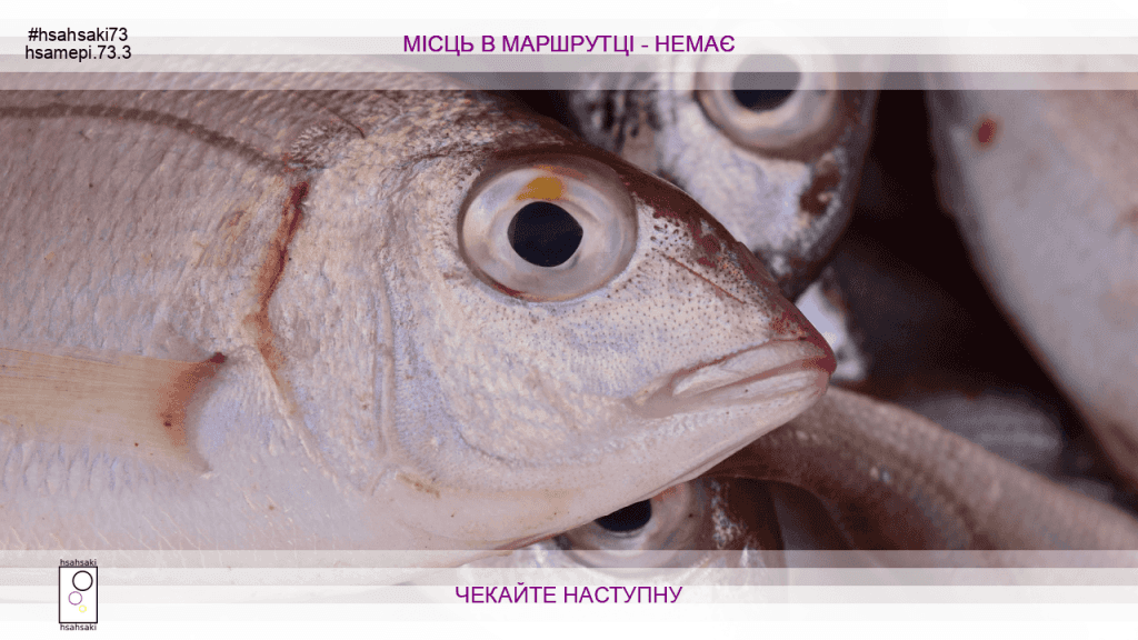 Свежая рыба. Свежемороженая рыба. Рыба на крючке. Охлажденная рыба. Дорадо мороженая.