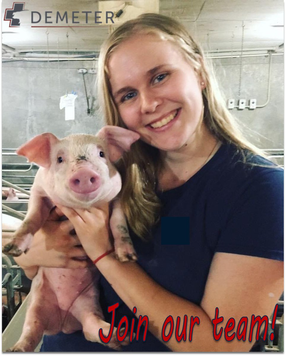 Now hiring Production Team members!  Do you have a passion for the swine industry?  Here's your chance to help our team support swine producers' needs! 
Job duties include vaccinating, barn tours, and helping to diagnose existing challenges.
email resumes to apehlke@demetersv.com
