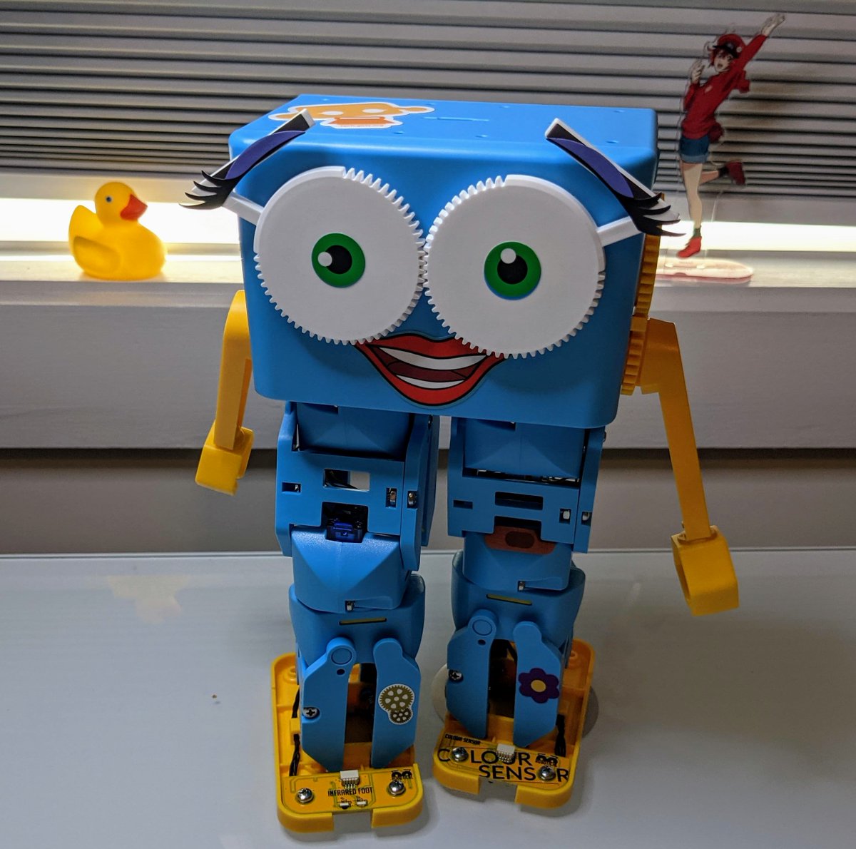 kswilkens's tweet photo. I won a #MartytheBot from @RoboticalLtd at #VSTE21 and it arrived! Guess what I'll be doing over the winter break? What a perfect Christmas present for me:) #CSforAll #CSforLife #RobotChallenge https://t.co/oKHDkTixSg