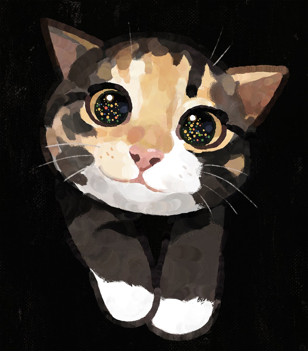 GENTLECAT tweet media