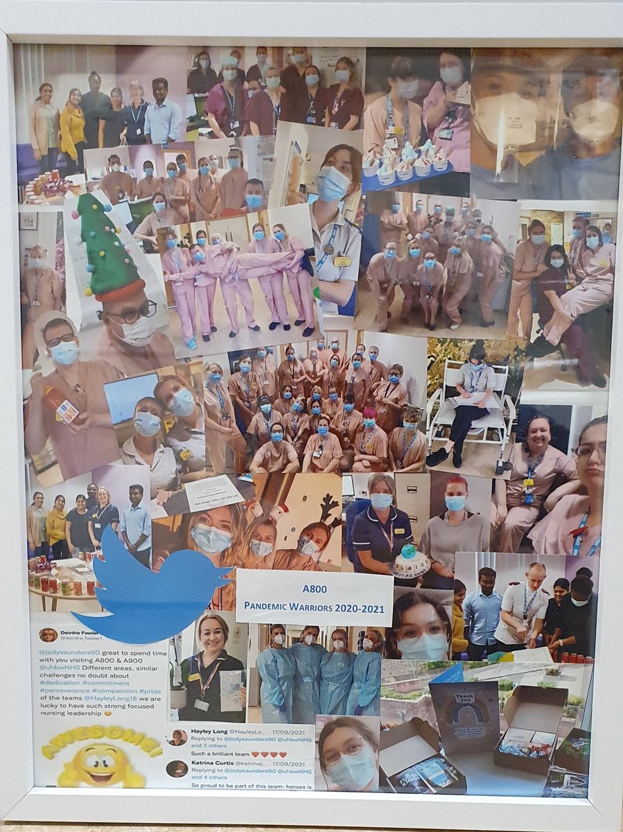 Suzanne Guest (@suzanneguest9) on Twitter photo Thank you <a href="/jodysaunders90/">Jody</a> for the most thoughtful present for the A800 team. The team are incredibly touched, it is a wonderful recognition of the teams hardwork! Thank you for your tireless support, you have been amazing! <a href="/HayleyLong18/">Hayley Long</a> <a href="/JoLloydRees/">Johanna Lloyd-Rees</a> <a href="/nickyjgould/">Nicky G</a> Thank you <a href="/jodysaunders90/">Jody</a> for the most thoughtful present for the A800 team. The team are incredibly touched, it is a wonderful recognition of the teams hardwork! Thank you for your tireless support, you have been amazing! <a href="/HayleyLong18/">Hayley Long</a> <a href="/JoLloydRees/">Johanna Lloyd-Rees</a> <a href="/nickyjgould/">Nicky G</a>
