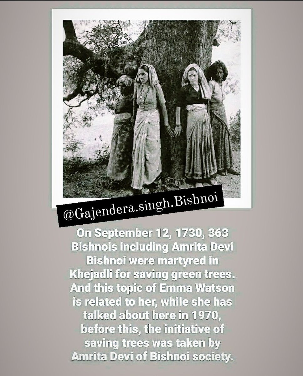 GGajendera's tweet photo. Bishnoi 363😢😢😢
@bishnoikuldeep @jeevrakshaindia @JS_Bishnoi @meena_bishnoi @Mahendra_Luni @KISHNARAM_MLA @papuramdara @biharibishnoi https://t.co/GAm9gP7AER