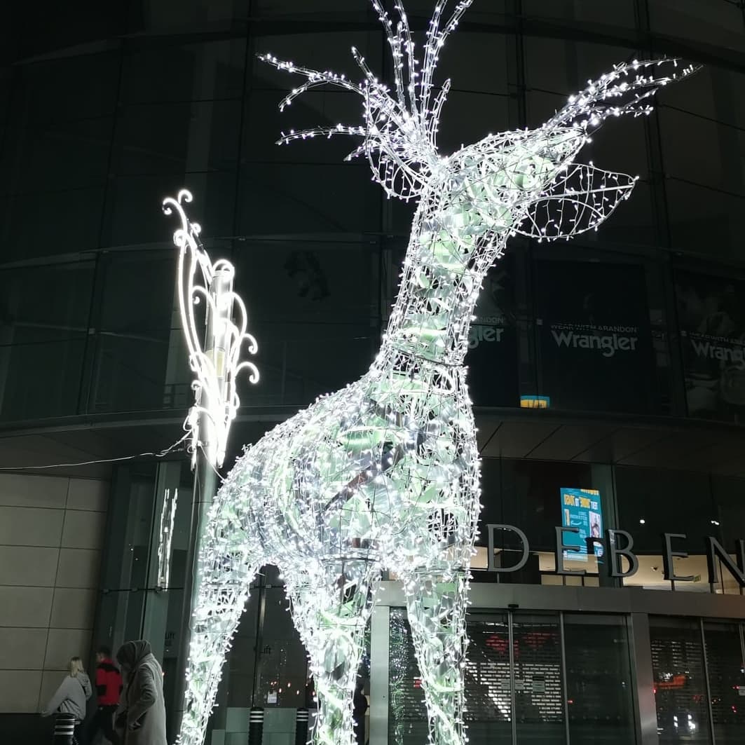 LiverpoolStart's tweet photo. Nothing beats the bright lights of Liverpool on a winter Evening at Christmas!

#liverpool #liverpoolarchitecture #liverpoolatchristmas #liverpoolatnight #loveliverpool #dayoutinliverpool #beautyofliverpool https://t.co/vKQ7kAVc2Z
