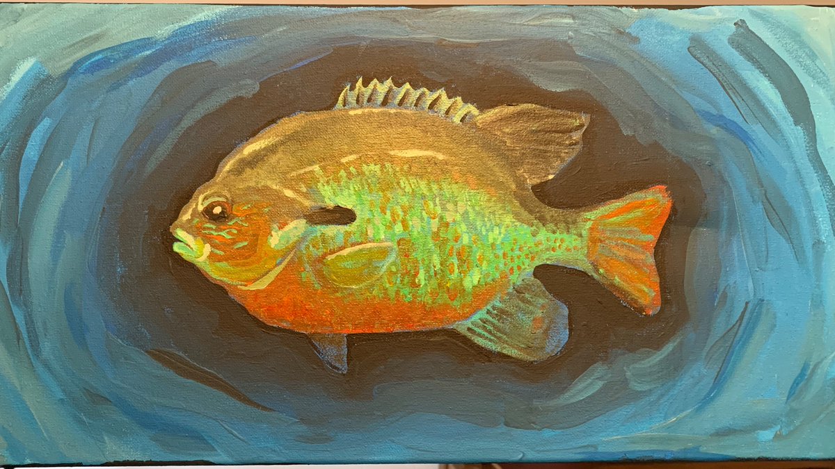 Hank Hershey Ph.D tweet media