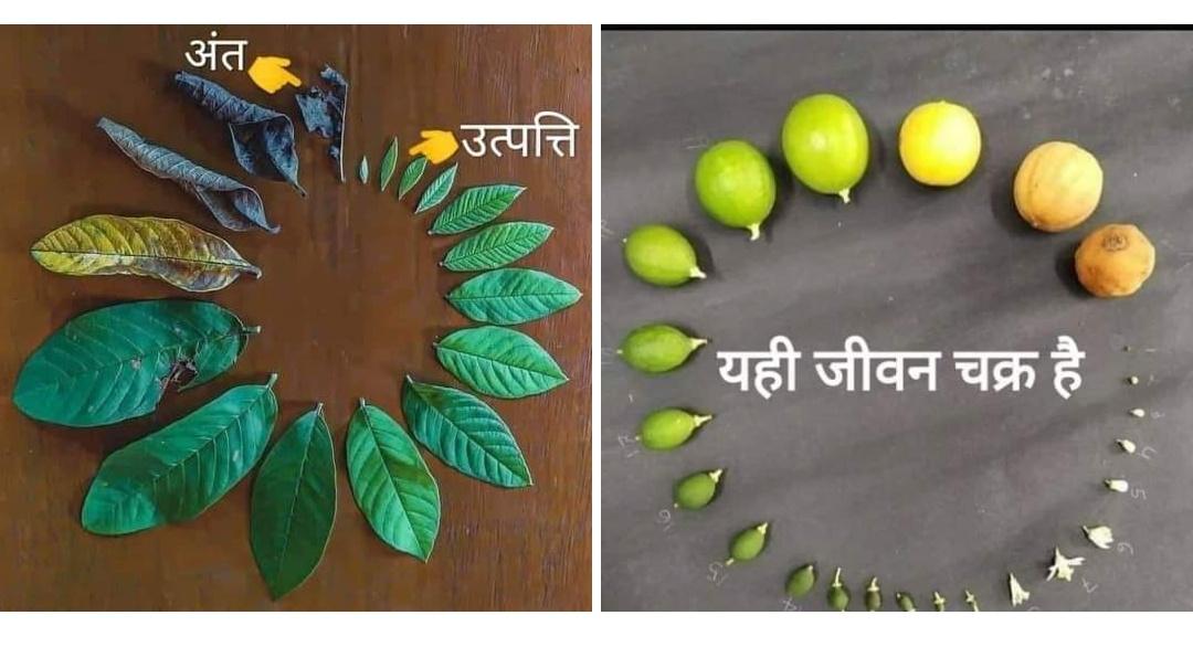 ajay_H_kanoje's tweet photo. यह सत्य है की हर चीज की सीमा होती है, जीवन की सीमा भी हकीकत है। इसलिए हमेशा रोशनी की तरह चमकना एंव प्यार बढ़ाते रहना चाहिए। जब जीवन की शुरुआत हुए है तो अंत भी निश्चित ही है। ये प्रकृति का नियम है, यही सत्य है।
#AjayHKanoje #प्रकृति #TheFirstJohar #Life #जीवन #सत्य #प्यार #Love https://t.co/vWxoeJEGbH