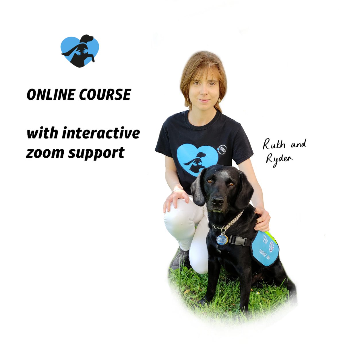 autismdogscio's tweet photo. Autism Dogs CIC is excited to announce the launch of the โIntroduction to Assistance Dogsโ online course with interactive zoom support!
Read more at: https://t.co/4c1rgHgC2l
#autismdogs #autismdogscourse #autismdogscic #autismassistancedogs #assistancedogs https://t.co/WakKhRjXDe