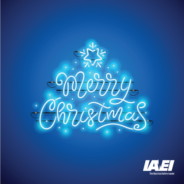 IAEI's tweet photo. Merry Christmas from IAEI. https://t.co/QG1yQRbpUh #IAEI #electricalsafety #electricalprofessionals #electricalinspector https://t.co/8Umrx4BMJv