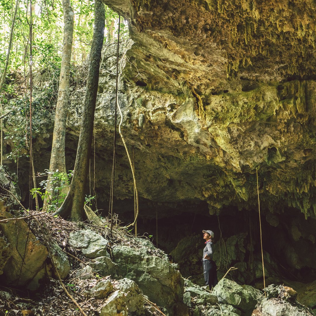 ROLEX's tweet photo. As part of our #PerpetualPlanet initiative we support the Xunaan-Ha Expedition in Mexico. The mission, with six of the world’s best female divers, explored cave systems under the Yucatán Peninsula to shed light on the region’s only fresh water source. More https://t.co/FECCj8KTSU https://t.co/ypWwiGLwyd