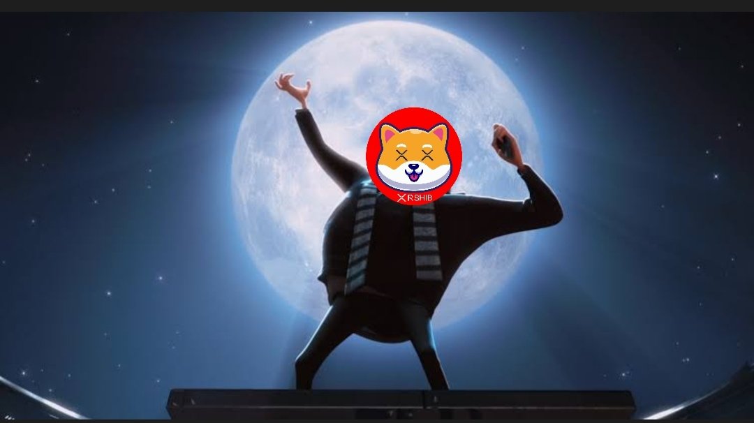 SHIB · Powered by the XRP Ledger tweet media