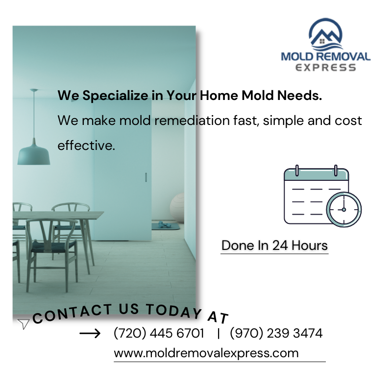 MoldRemovalXP's tweet photo. We are the fastest and most affordable black mold removal company. We are committed to helping our customers find the best solution for removing the mold hazard from their property.

Contact us today to book an appointment.
#Denver #Boulder #fortcollins #ColoradoSprings https://t.co/HEIovdzSq1
