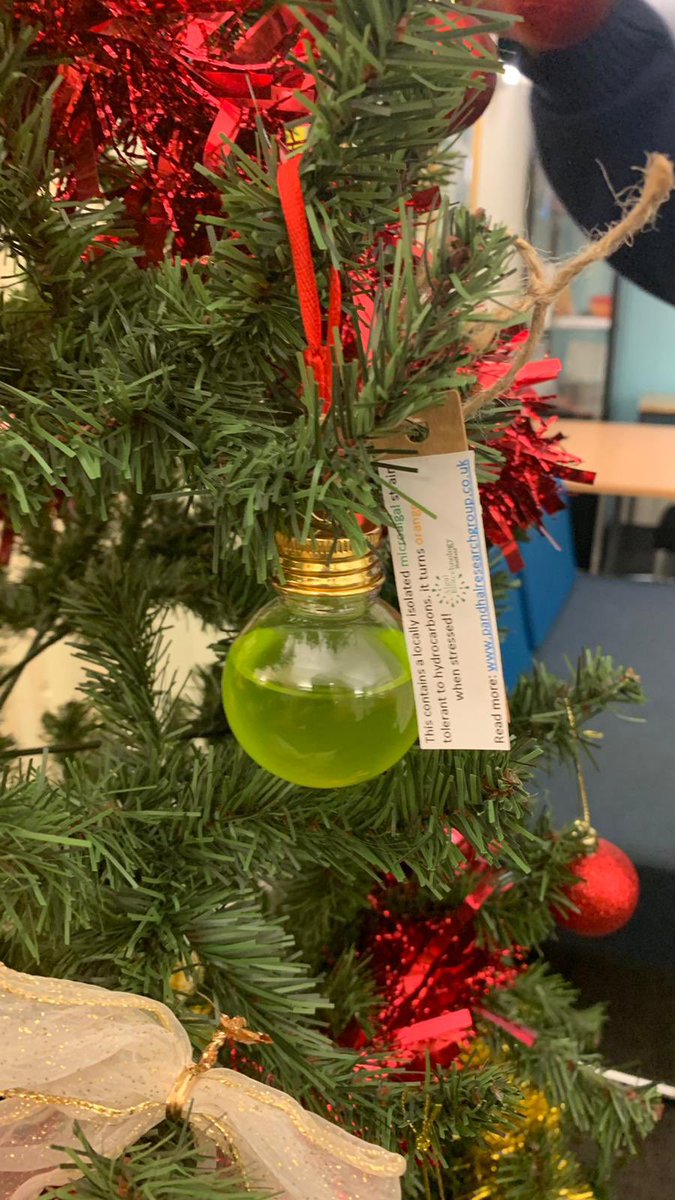 Jags Pandhal (@jpandhal) on Twitter photo Algal Christmas baubles distributed around campus, sadly not many will witness them turning orange <a href="/ShefUniNews/">Sheffield Uni News and Views</a> <a href="/CBESheffield/">CBESheffield</a> <a href="/Algae_UK/">Algae-UK</a> Algal Christmas baubles distributed around campus, sadly not many will witness them turning orange <a href="/ShefUniNews/">Sheffield Uni News and Views</a> <a href="/CBESheffield/">CBESheffield</a> <a href="/Algae_UK/">Algae-UK</a>