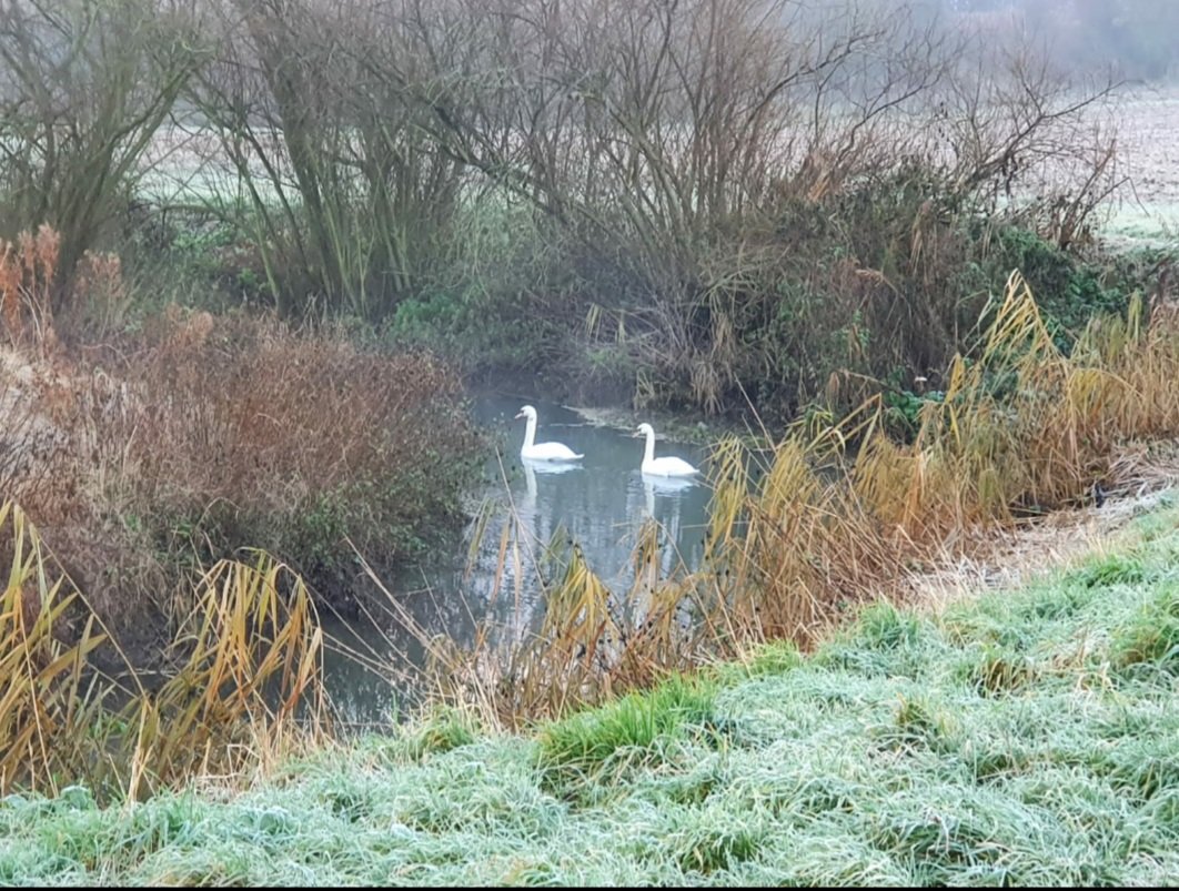 MillsideWigwams's tweet photo. Hi @looknorthBBC @BBCRadioLincs, lovely winter walk this morning by the Witham on the Viking Way at Barkston. A few years on, do the words Viking and Way still make those feet come out in blisters at the memory? Was a great listen BTW! @scottydalton @CorazonMGarcia https://t.co/GJ4ZNFrgtV