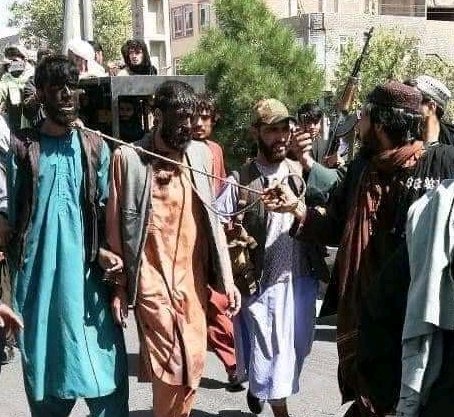 MasterOfPsy's tweet photo. The Traitor @mikepompeo allows the taliban to work at the U.S. Embassy in Pakistan! 😲
So the terrorists that our allies are fleeing are now checking Afghan papers at the @usembislamabad?!
#UNACCEPTABLE
#Taliban_ISIS_AlQaeda
#PutinAtWar
POMPEO MUST GO!
#TreasonIsTheReason👇 https://t.co/4sU0ZjYsCI
