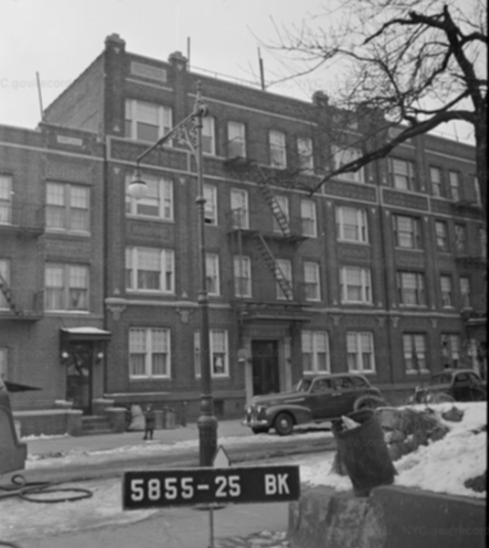 bayridgemuseum's tweet photo. at the same time, about six blocks from there, Gilbert Sorrentino was also 11 years old, living at 446 Senator Street https://t.co/0ABVYjajH9 https://t.co/mfOCIOgB21