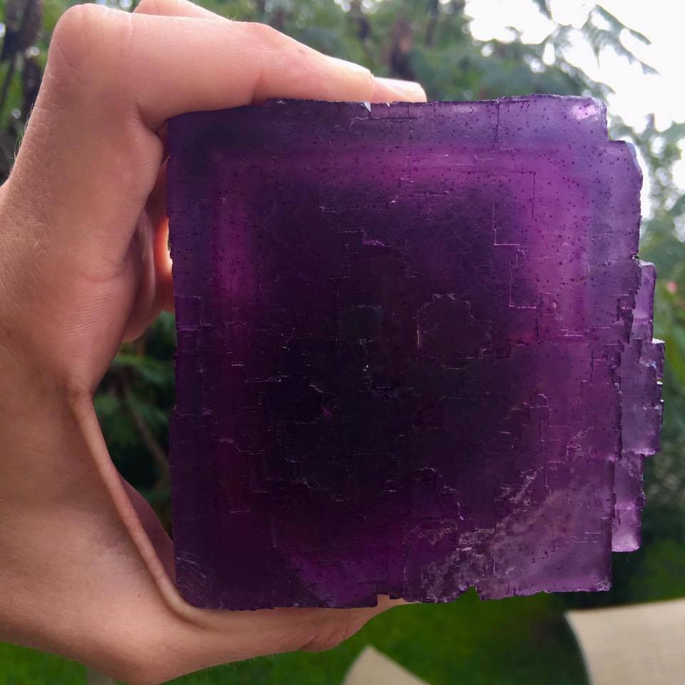 GeologyTime's tweet photo. Huge fluorite cube from the Denton mine with raspberry zoning.
photo: Creighton Beery

#mineeals https://t.co/ZfgR3ctAiQ